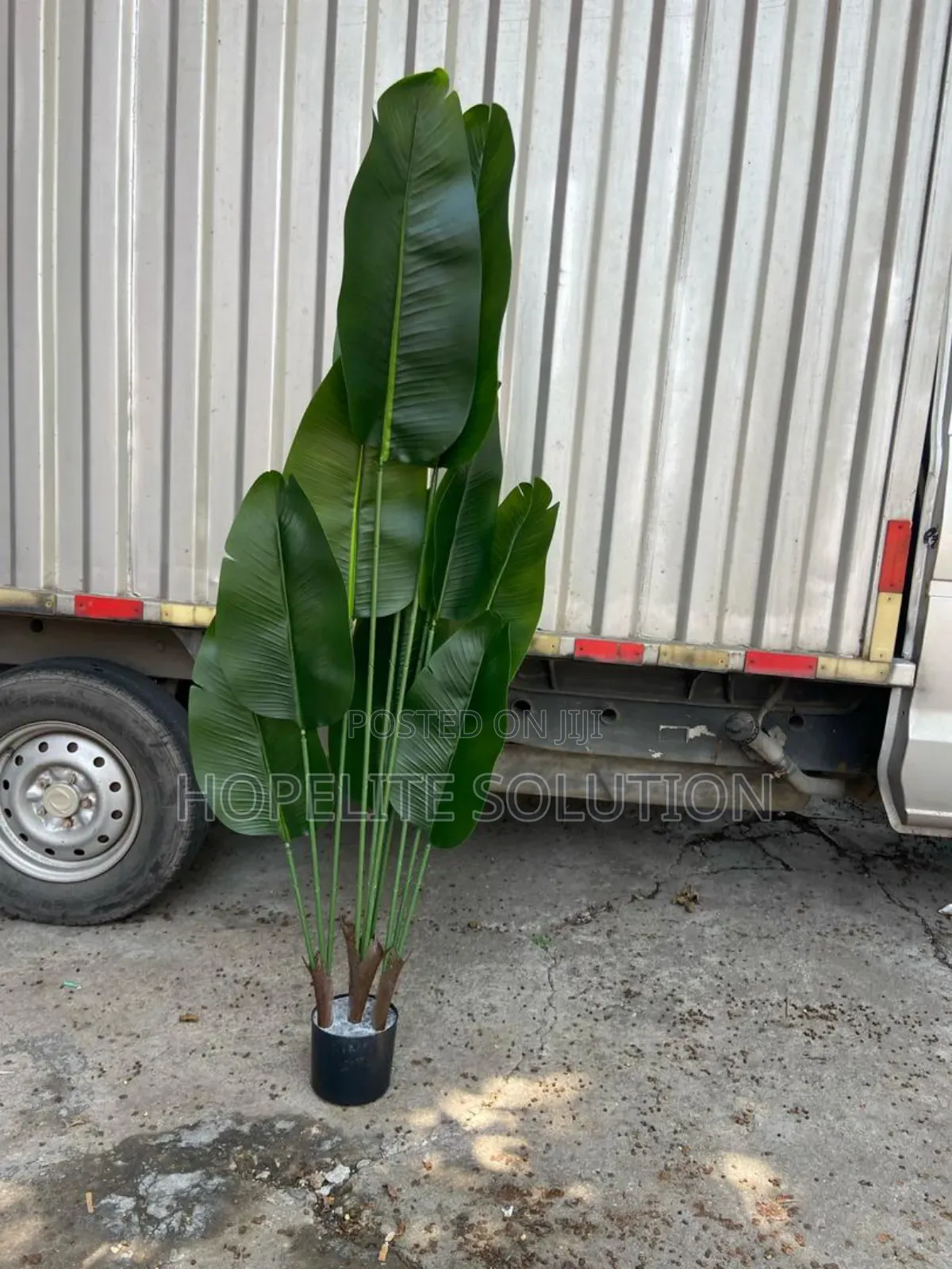 Bamboo Potted House Tree