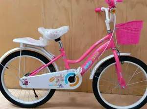 Size 20 Girls Bike/Kids Bicycle