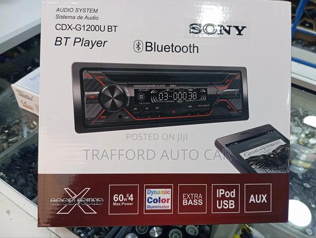 Sony Car Mp3 Player With Remote and Usb Port