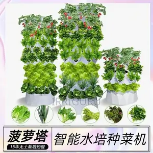 Hydroponic Planting Tower Courtyard