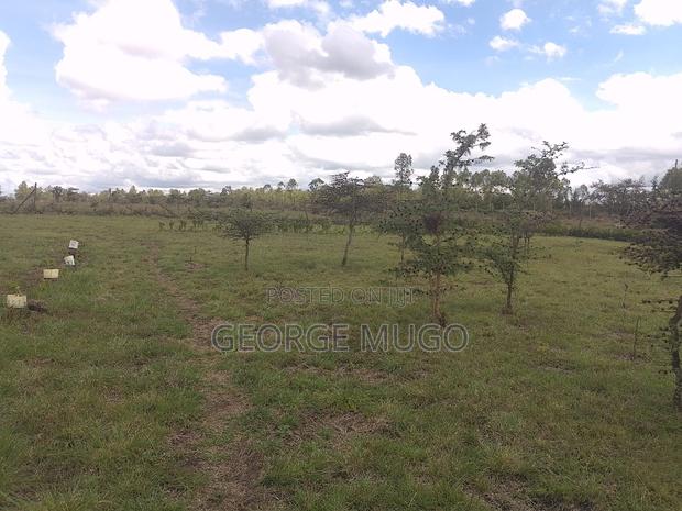 Land for Sale and Renting - thumbnail 3