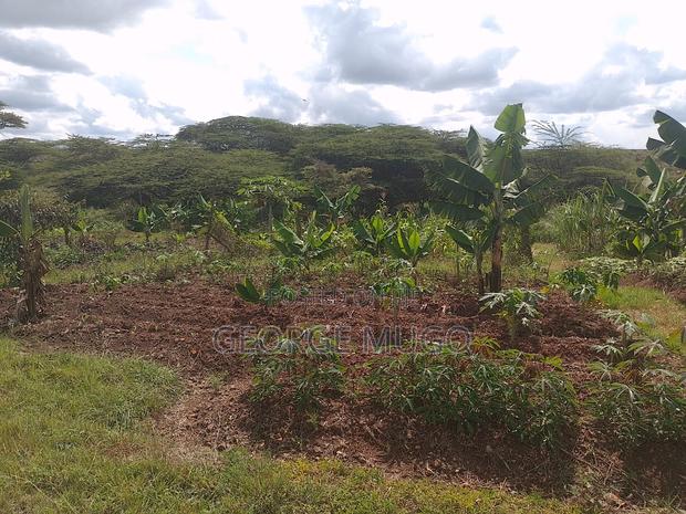 Land for Sale and Renting - thumbnail 7