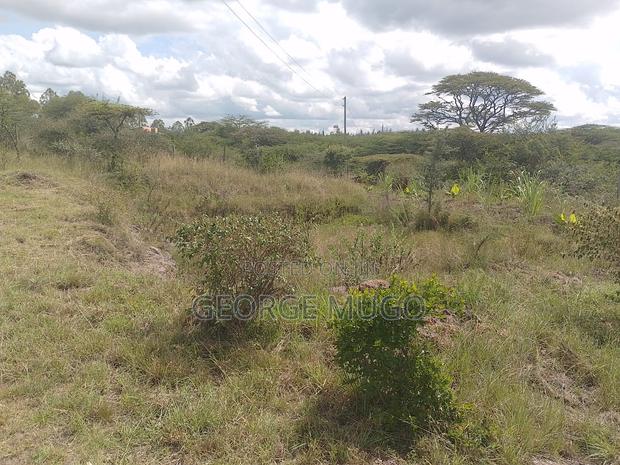 Land for Sale and Renting - thumbnail 8