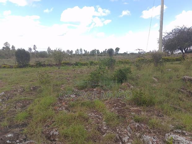 Land for Sale and Renting - thumbnail 12