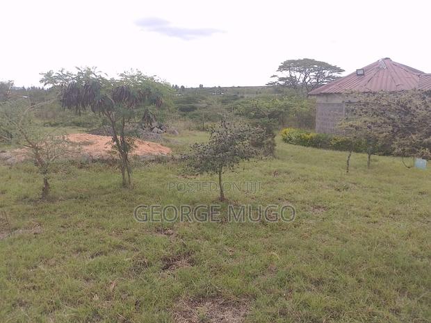 Land for Sale and Renting - thumbnail 14