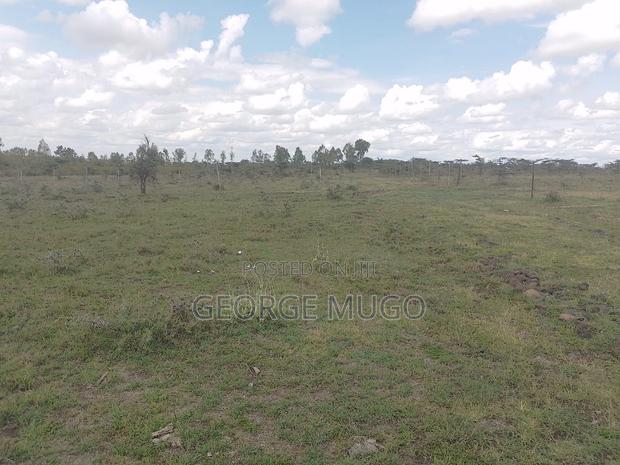 Land for Sale and Renting - thumbnail 16