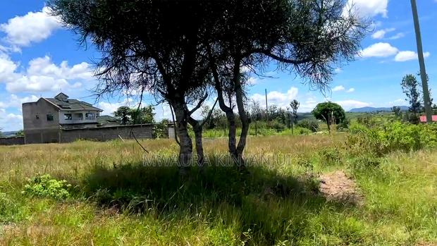Mananja Ndithini 50x100 100x100 1 Acre From Title Deed - thumbnail 2