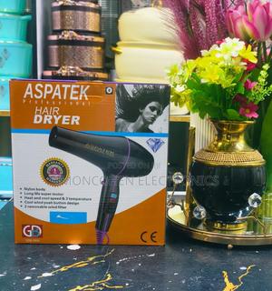 Aspatek Professional Hair Dryer - main view