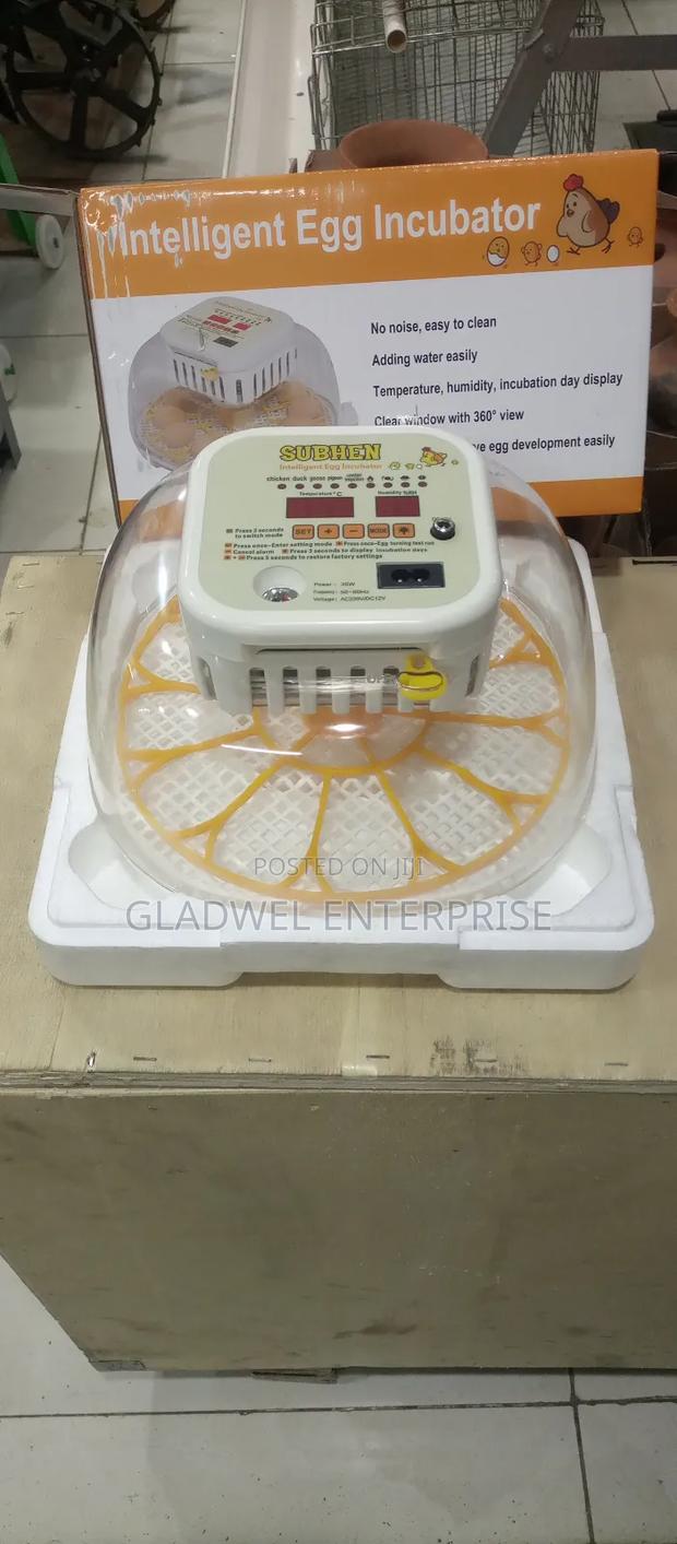 Egg Incubator 12eggs Capacity for Hatching