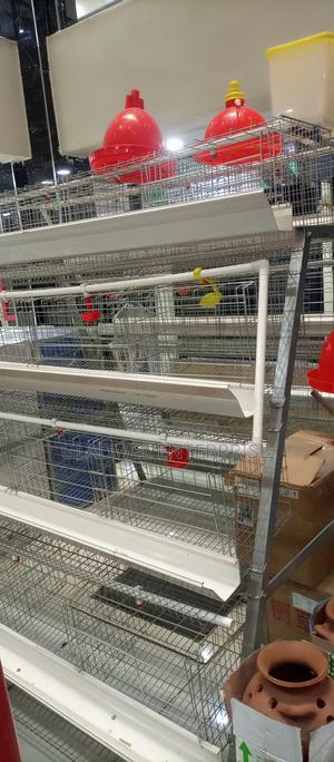 Poultry Cages Specifically Designed for Housing Laying Hens - thumbnail 2