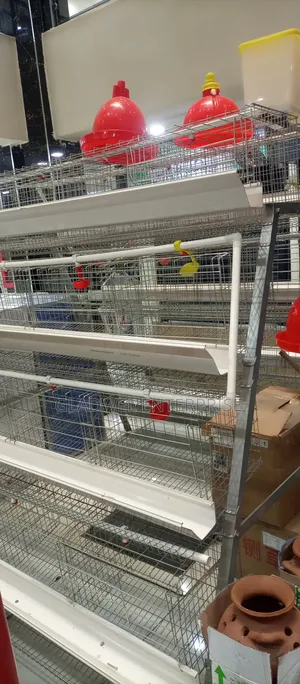 Poultry Cages Specifically Designed for Housing Laying Hens