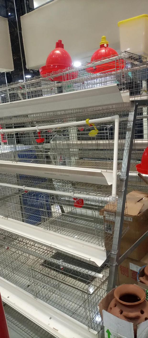 Poultry Cages Specifically Designed for Housing Laying Hens - main view