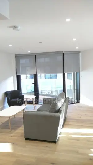 Sunscreen Roller Blinds – Let Nature Glow Gently!