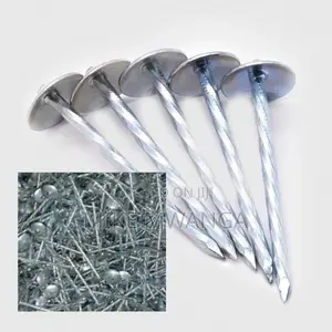 Roofing Nails