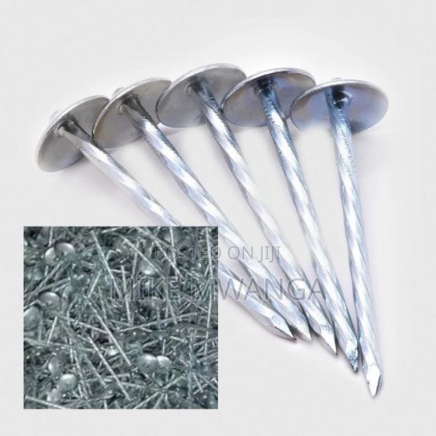 Roofing Nails - main view