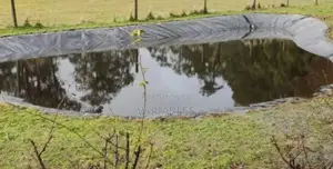 Dam Liners–For Tropical Climates and Elleviaton of Leakages