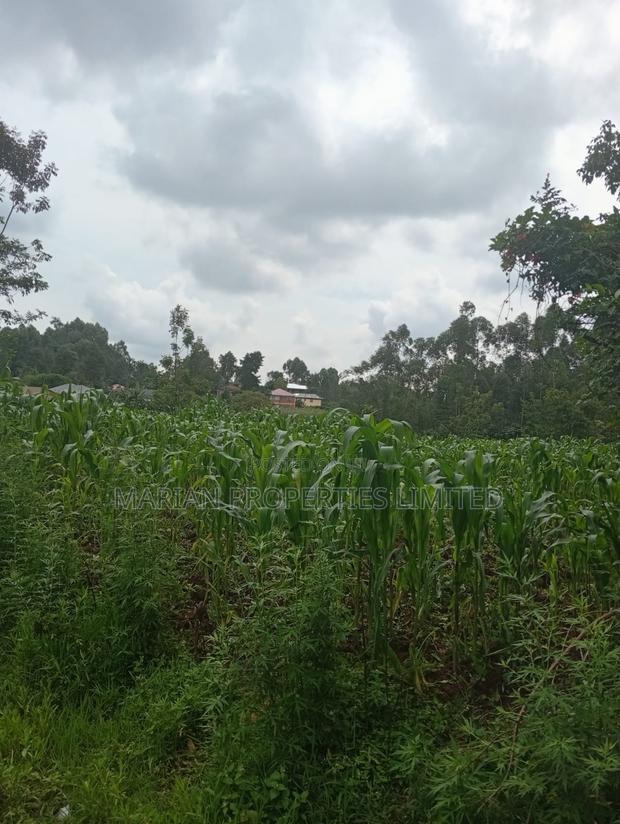 Prime Land for Sale in Shirere-Kakamega - thumbnail 2