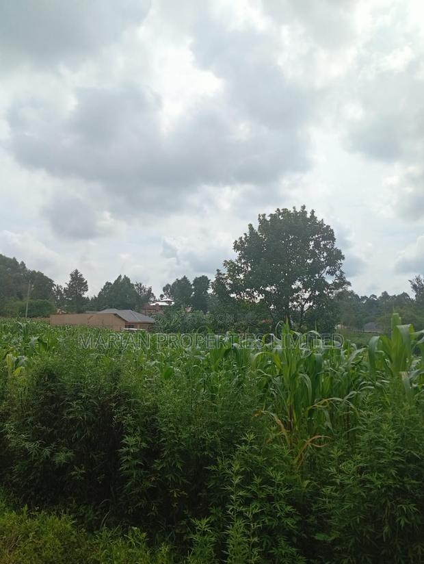 Prime Land for Sale in Shirere-Kakamega - thumbnail 3