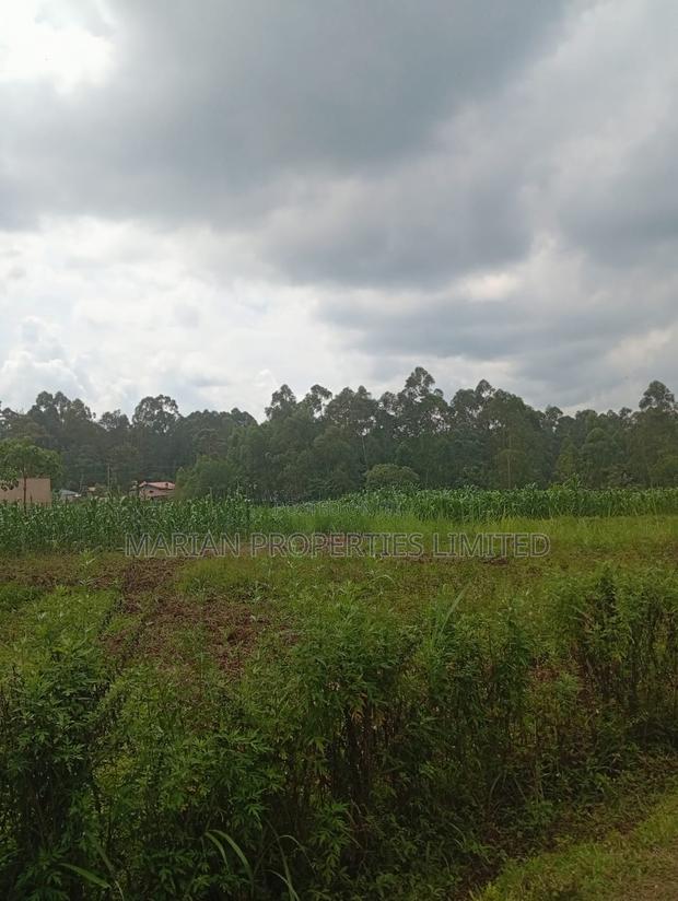 Prime Land for Sale in Shirere-Kakamega - thumbnail 4