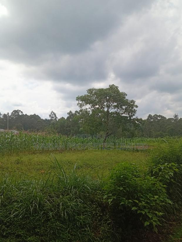 Prime Land for Sale in Shirere-Kakamega - thumbnail 5