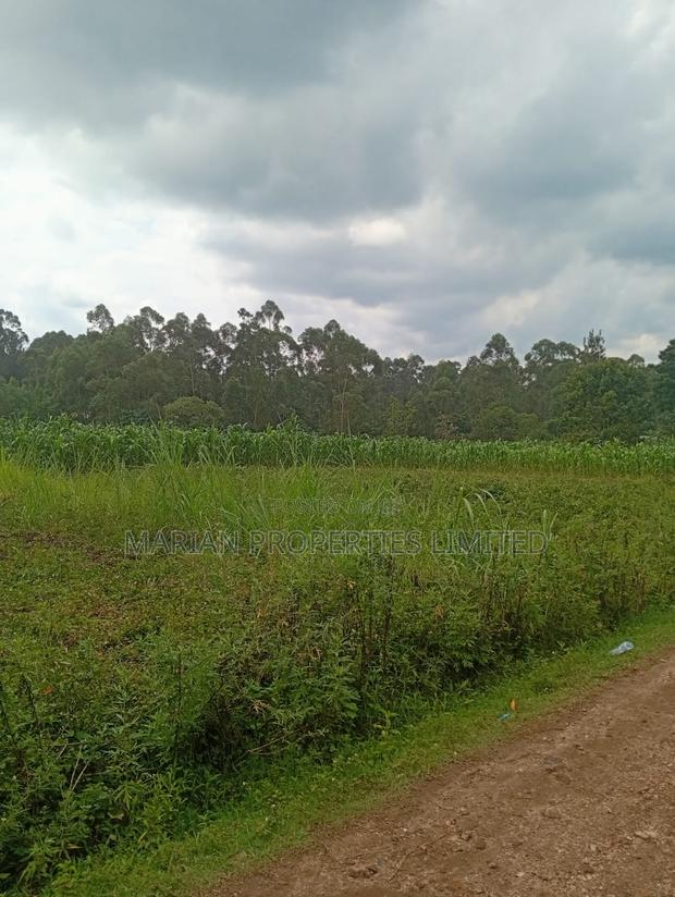 Prime Land for Sale in Shirere-Kakamega - thumbnail 7