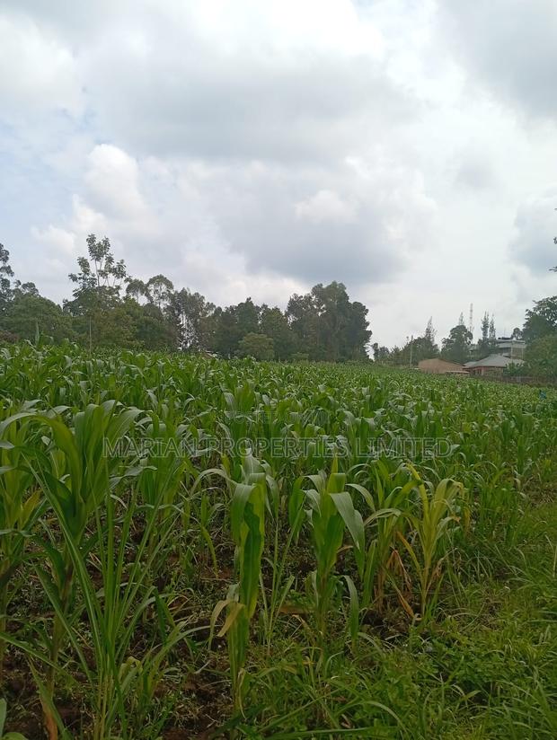 Prime Land for Sale in Shirere-Kakamega - thumbnail 10