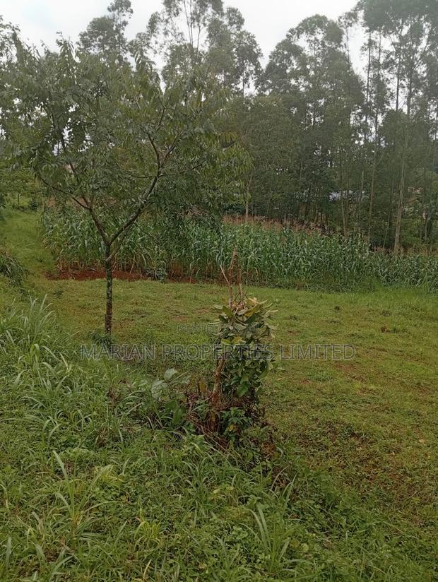 Prime Land for Sale in Shirere-Kakamega - thumbnail 11