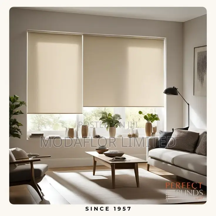 Sunscreen Roller Blinds – Window Styling With Purpose!