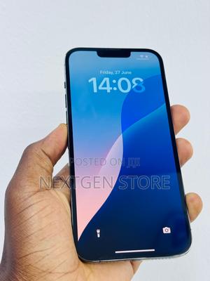 Apple iPhone 13 Pro Max 256 GB Gray - main view