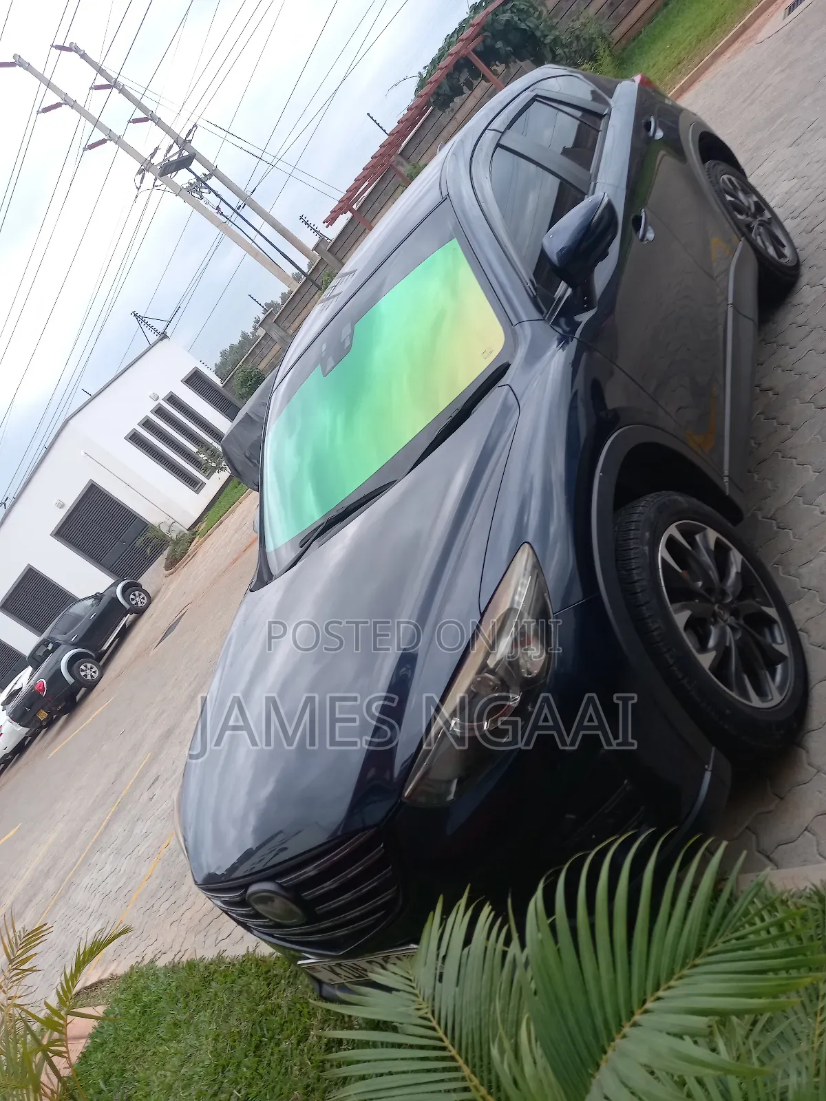 Chameleon Tint Installation
