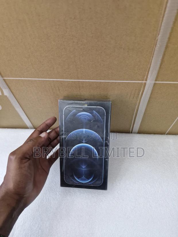 New Apple iPhone 12 Pro Max 256 GB Blue - thumbnail 4
