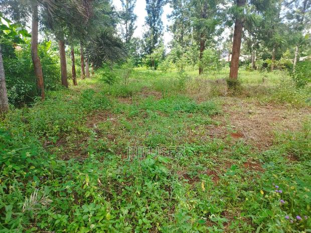 Prime 1/2 Acre Residential Land for Sale in Kagio(Kiunga)