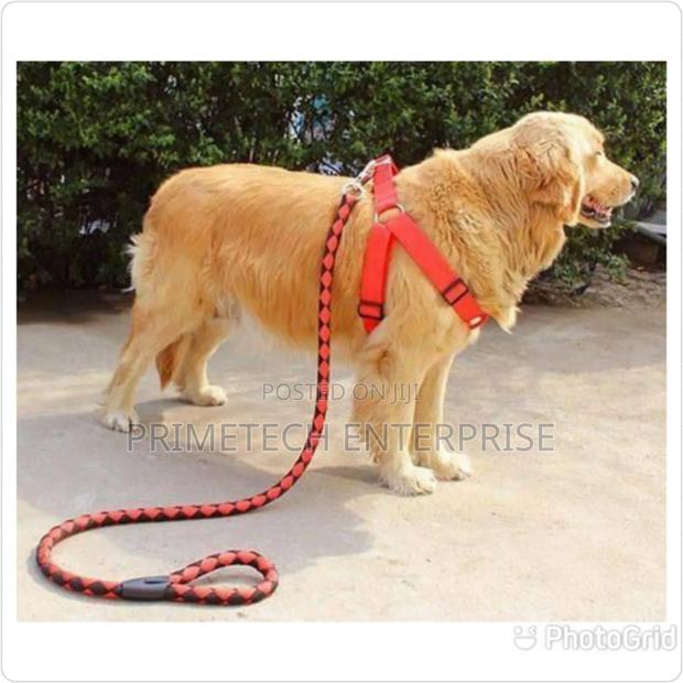 Medium Dog - Dog Leash - main view