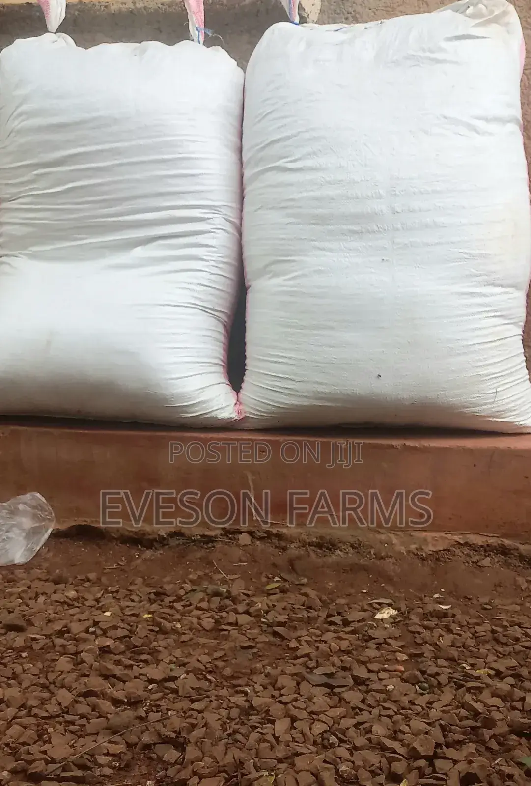 Fishmeal/Fresh Water Shrimps Aka Ochong'A