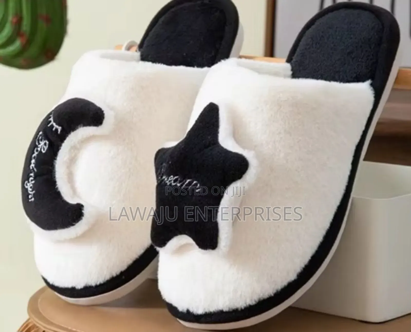 Indoor Shoes