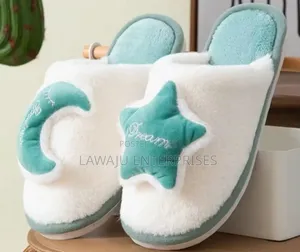 Indoor Shoes