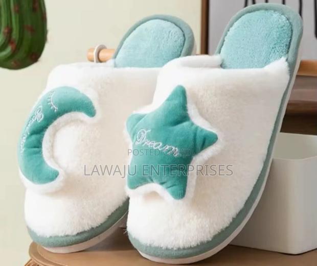 Indoor Shoes - thumbnail 2