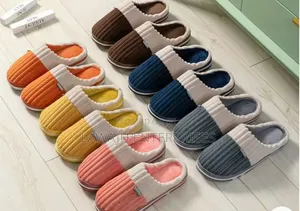Indoor Shoes