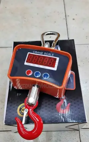 500kgs Crane Scales