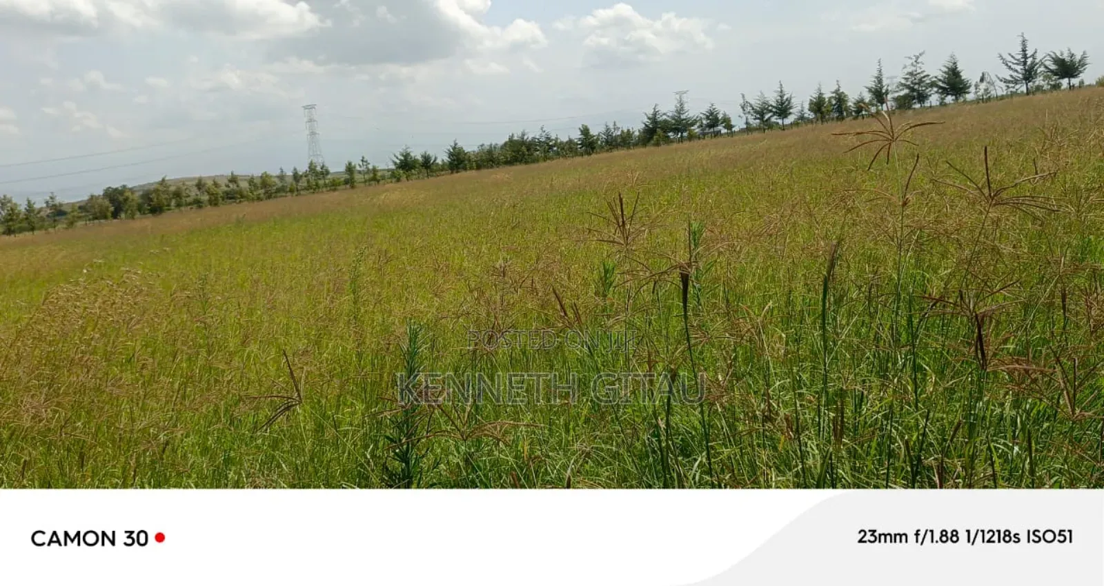 Longonot Farmland