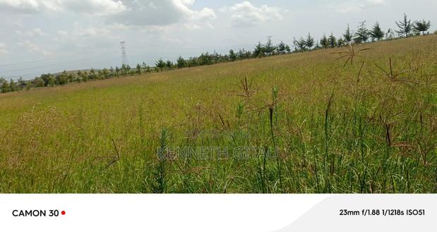Longonot Farmland - thumbnail 5