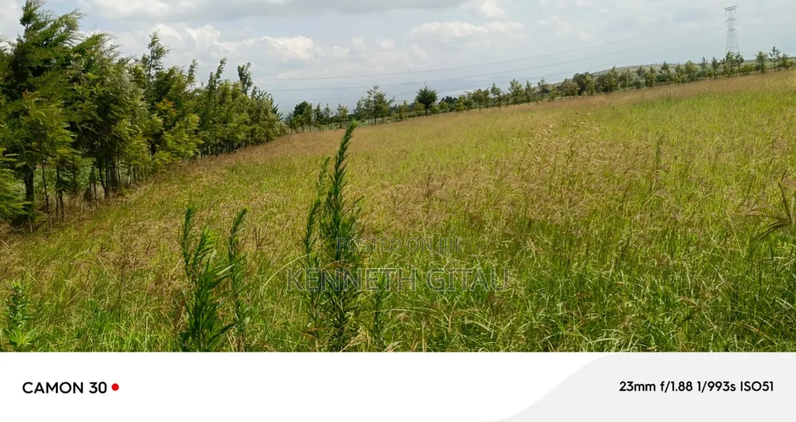 Longonot Farmland