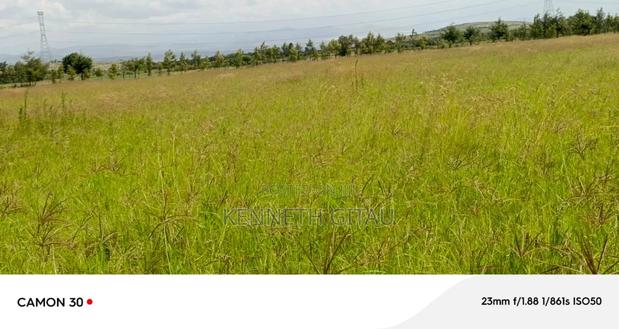 Longonot Farmland - thumbnail 7