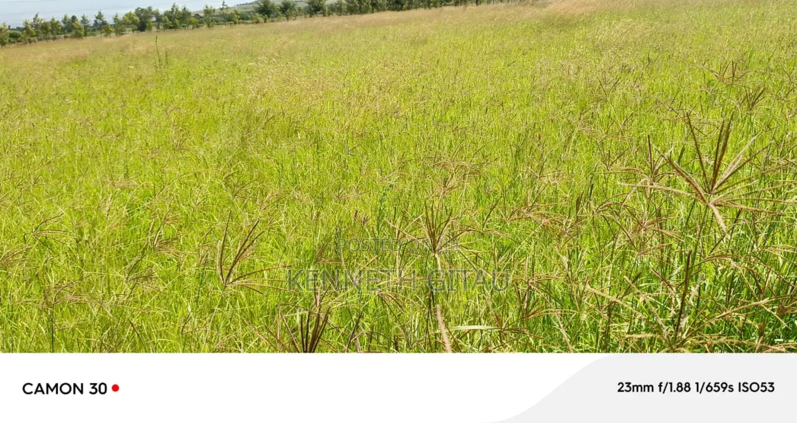 Longonot Farmland