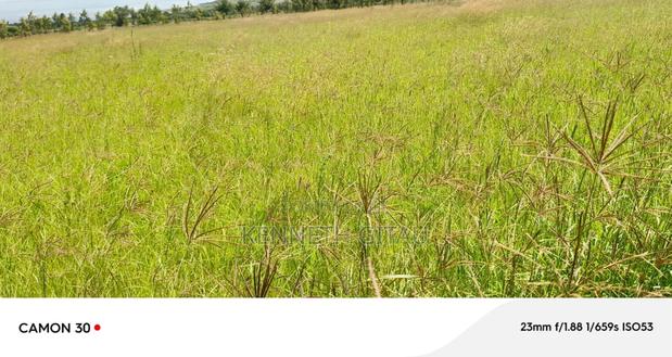 Longonot Farmland - thumbnail 8