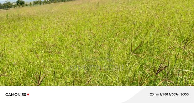 Longonot Farmland - thumbnail 10