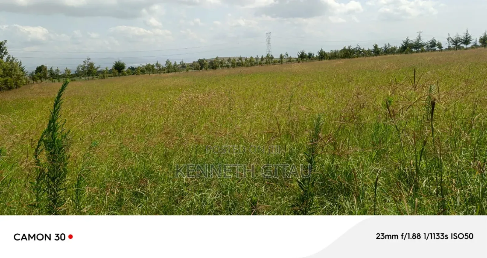 Longonot Farmland