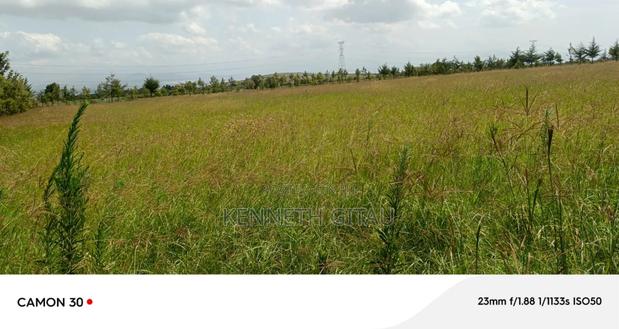 Longonot Farmland - thumbnail 11