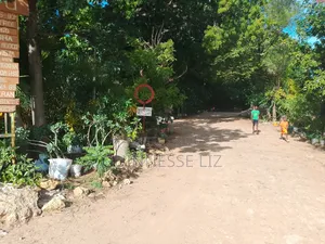 Kuruwitu Land for Sale (Vipingo)
