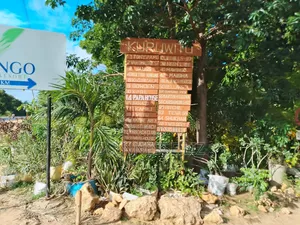 Kuruwitu Land for Sale (Vipingo)